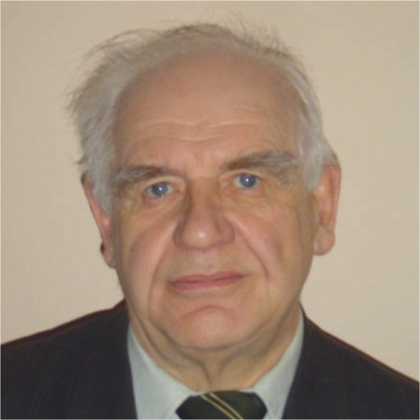 Штремель Мстислав Андреевич