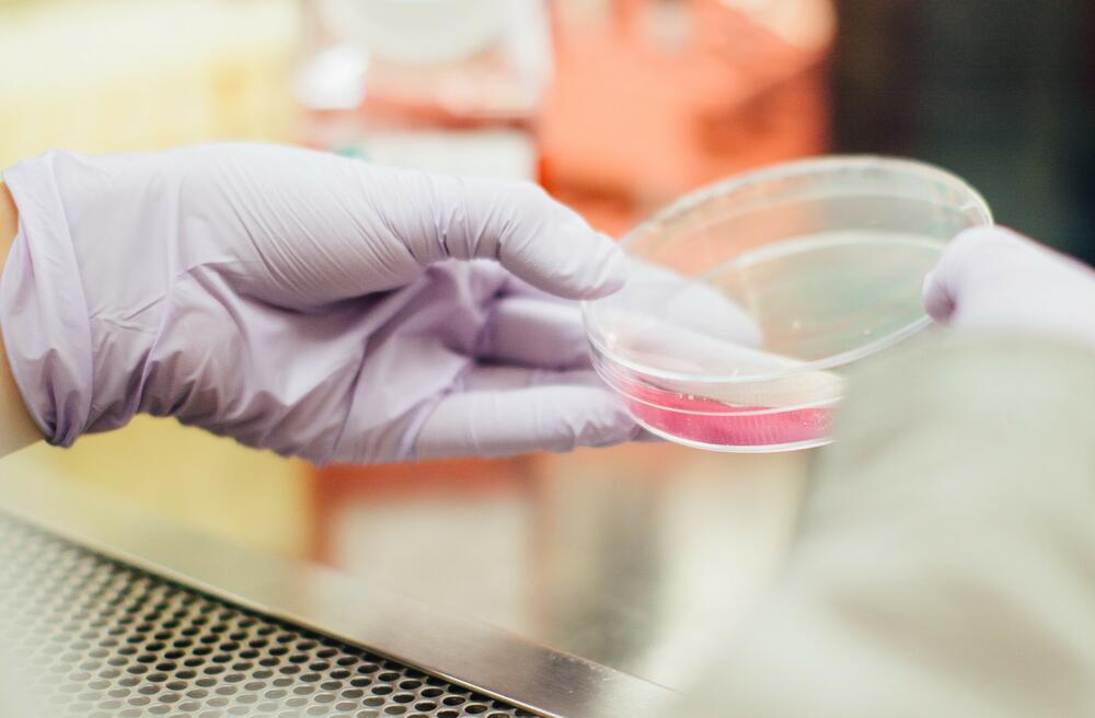 Антибактериальное покрытие для имплантатов