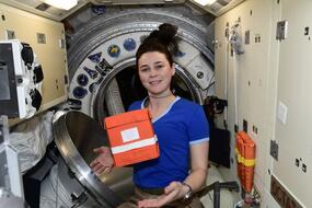 Биопринтер «Орган.Авт» на МКС